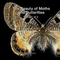 The Beauty of Moths and Butterflies: Book 1 of 3 1539970841 Book Cover