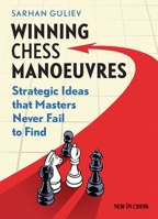 Winning Chess Manoeuvres: Strategic Ideas That Masters Never Fail to Find 9056915681 Book Cover
