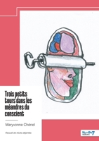 Trois petits tours dans les méandres du conscient (French Edition) B0FQTXSKWD Book Cover