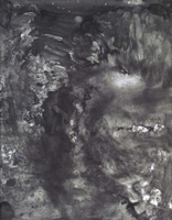 Jasper Johns: Drawings 0300125011 Book Cover