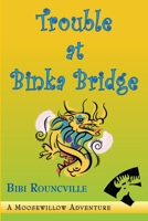 Trouble at Binka Bridge 0557160510 Book Cover