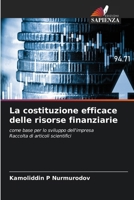 La costituzione efficace delle risorse finanziarie (Italian Edition) 6209852254 Book Cover