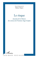 Le risque: Journées de la Maison des sciences de l'homme Ange-Guépin (French Edition) 2343009457 Book Cover