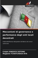 Meccanismi di governance e performance degli enti locali decentrati (Italian Edition) 6208193370 Book Cover