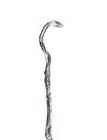 artist + anthropologist = Dominican Republic 1714691594 Book Cover