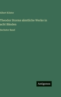 Theodor Storms s�mtliche Werke in acht B�nden: Sechster Band 336825619X Book Cover