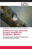 Avifauna en dos sitios del bosque mesófilo de Cuetzalan, México: Una aproximación a la biodiversidad de aves en la Sierra Norte de Puebla 6202121068 Book Cover