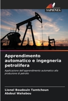 Apprendimento automatico e ingegneria petrolifera (Italian Edition) 620895309X Book Cover
