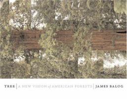 Tree: A New Vision of the American Forest 0760762163 Book Cover