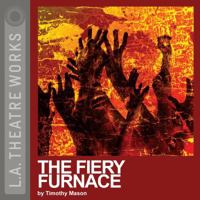 The Fiery Furnace 1580816606 Book Cover