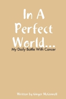 In a Perfect World 0615247695 Book Cover