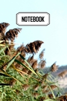 Notebook: Id�al pour vos prises de notes, votre carnet vous permettra de ne rien oublier - Original & pratique de 110 pages lign�es 1696918634 Book Cover