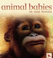 Animal Babies in Rain Forests (Animal Babies) 0753457881 Book Cover