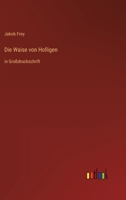 Die Waise von Holligen: in Gro�druckschrift 3566028185 Book Cover