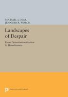 Landscapes of Despair: From Deinstitutionalization to Homelessness 0691025401 Book Cover