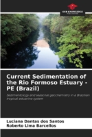 Current Sedimentation of the Rio Formoso Estuary - PE (Brazil) 6208402654 Book Cover