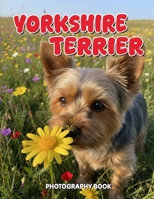 Yorkshire Terrier Photography Book: A Visual Tribute to the Elegant Yorkshire Terrier B0GRM5FF3W Book Cover