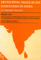 Developing Small-scale Industries in India 0903031817 Book Cover