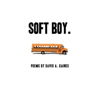 soft boy. 1735612243 Book Cover