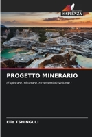 Progetto Minerario (Italian Edition) 6206456579 Book Cover