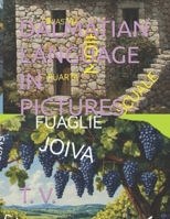 DALMATIAN LANGUAGE IN PICTURES (DALMATIAN LANGUAGE BOOKS) B0GZZ4M2MC Book Cover