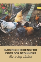 Raising Chickens for Eggs For Beginners: How to keep chickens: Raising Chickens for Eggs For Beginners B09DMR4C5L Book Cover