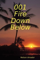 001 Fire Down Below 1329744519 Book Cover