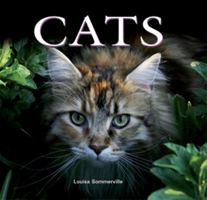 Cats 0785825223 Book Cover