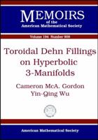 Toroidal Dehn Fillings on Hyperbolic 3-Manifolds 082184167X Book Cover