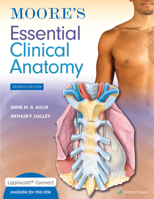 Essential Clinical Anatom 6e (Int Ed) PB 1975174240 Book Cover