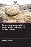 Sélection moléculaire pour le riz riche en fer Oryza sativa L 620527616X Book Cover