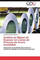 Analisis de Mapas de Espesor En Lineas de Proceso de Acero Inoxidable 3659043095 Book Cover