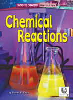 Chemical Reactions B0BHBZCJDF Book Cover