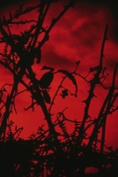 Horror Lobby! 1447885732 Book Cover