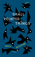 Small Pointed Things 1800174772 Book Cover