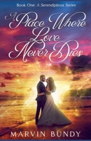 A Place Where Love Never Dies (Book One a Serendipitous) B0F8GXGLDQ Book Cover
