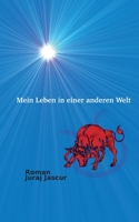 Mein Leben in einer anderen Welt 3738656294 Book Cover