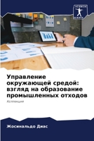 Управление окружающей средой: взгляд на образование промышленных отходов: Коллекция 6204091093 Book Cover