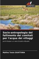 Socio-antropologia del fallimento dei comitati per l'acqua dei villaggi (Italian Edition) 6207003772 Book Cover