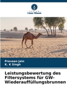 Leistungsbewertung des Filtersystems für GW-Wiederauffüllungsbrunnen 6209386210 Book Cover