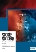 Sacrée sorcière - Tome 3: Les flammes jumelles (French Edition) 2383517003 Book Cover