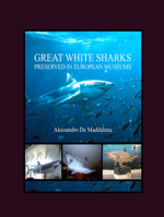 Great White Sharks Preserved in European Museums 1847181899 Book Cover