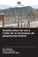 Amélioration du sol à l'aide de la technique de géopolymérisation (French Edition) 6208617316 Book Cover