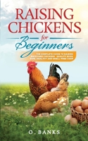 Raising Chickens for Beginners: The Complete Guide To Raising Backyard Chickens - Quality Eggs, Safe, Healthy and Smell-free Coop Paperback 1777855608 Book Cover