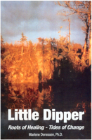 Little Dipper 1450071198 Book Cover