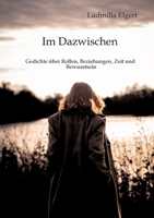 Im Dazwischen. Ein Poesieband über Rollen, Beziehungen, Zeit und Bewusstsein.: Gedichte, die berühren und neue Perspektiven eröffnen. Nichts bleibt, wie es zuvor war. (German Edition) 3384948068 Book Cover