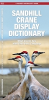 Sandhill Crane Display Dictionary: What Cranes Say With Their Body Language 1583556907 Book Cover
