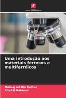 Uma introdução aos materiais ferrosos e multiferróicos 6205840073 Book Cover