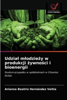 Udział młodzieży w produkcji żywności i bioenergii: Studium przypadku w spółdzielniach w Cifuentes (Kuba) 620361162X Book Cover
