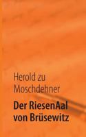 Der RiesenAal von Brüsewitz: Die Sichtung eines Mythos 3732234827 Book Cover